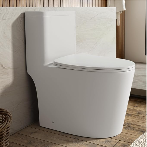 one piece oval toilet with soft closing seat and dual flush height 30 9/10'
